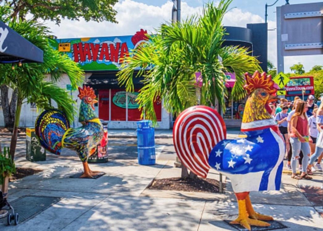 Homestay New Private Magic Of Miami, Gated Parking Miami