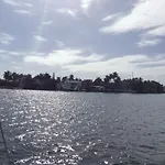 Unique Perspective