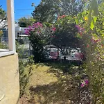 Key West Style Historic Home In Coconut Grove Florida The Yellow House