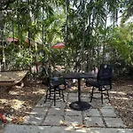 Tropical Oasis