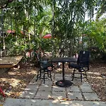 Tropical Oasis