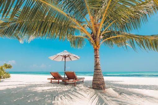 Gorgeous Beachy Chic In Key Biscayne * Miami