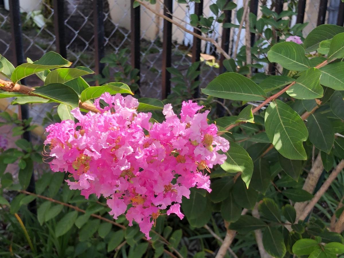 Homestay Private Next To Calle Ocho *