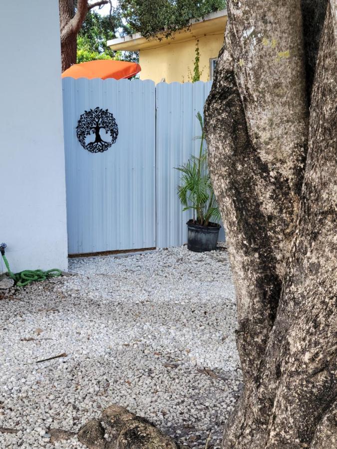 Life At Chez Mercedes Miami