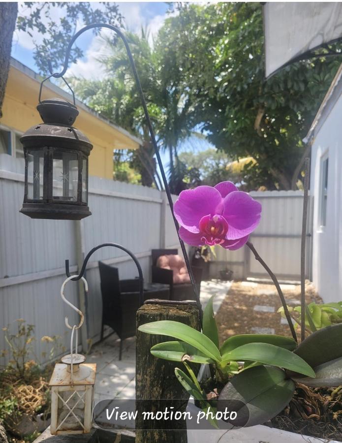 Life At Chez Mercedes Homestay *