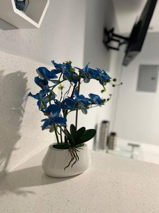 Apartment Blue Eyes *
