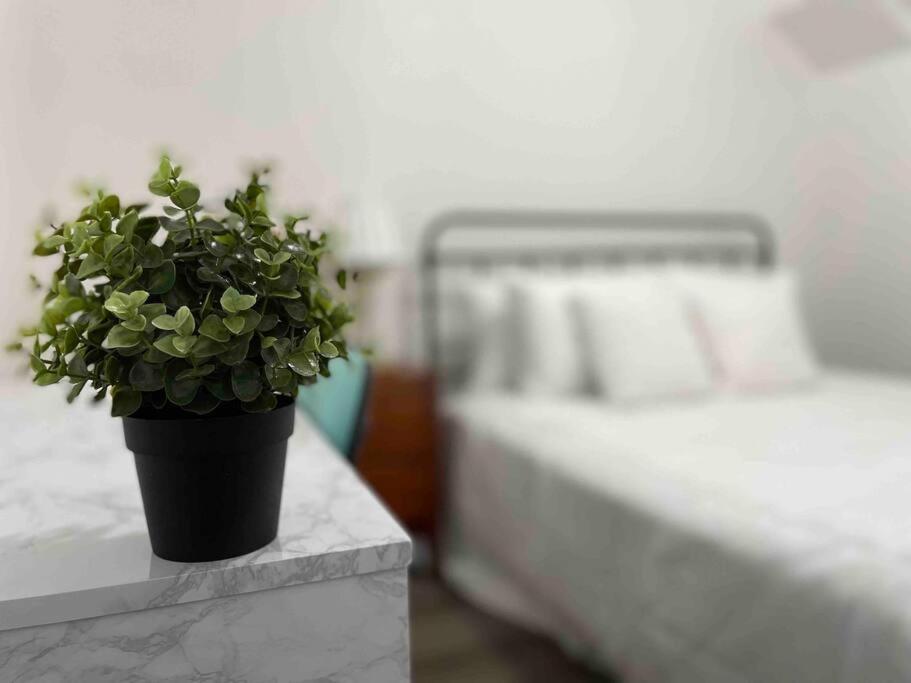 Apartment Sleeps 3, Cozy, Boho Style, In The Heart Of -free Parking