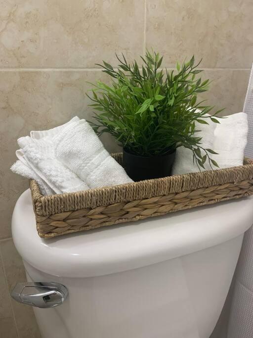 Apartment Sleeps 3, Cozy, Boho Style, In The Heart Of -free Parking *