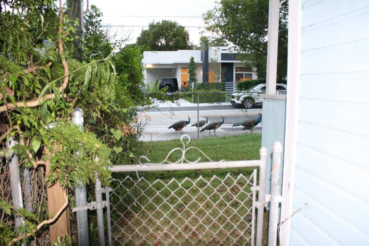 Key West Style Historic In Coconut Grove Florida, The Blue House *