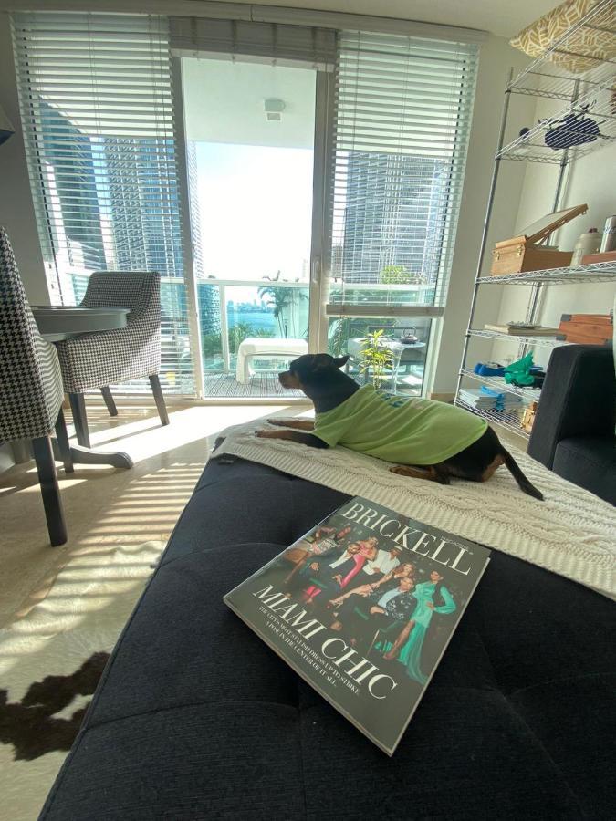 Comfortable In The Brickell Center Area Homestay Miami