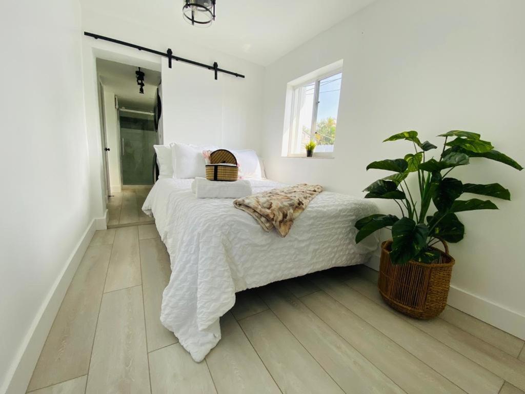 Dream House 4b/2b King Bed Springs, Fl Miami