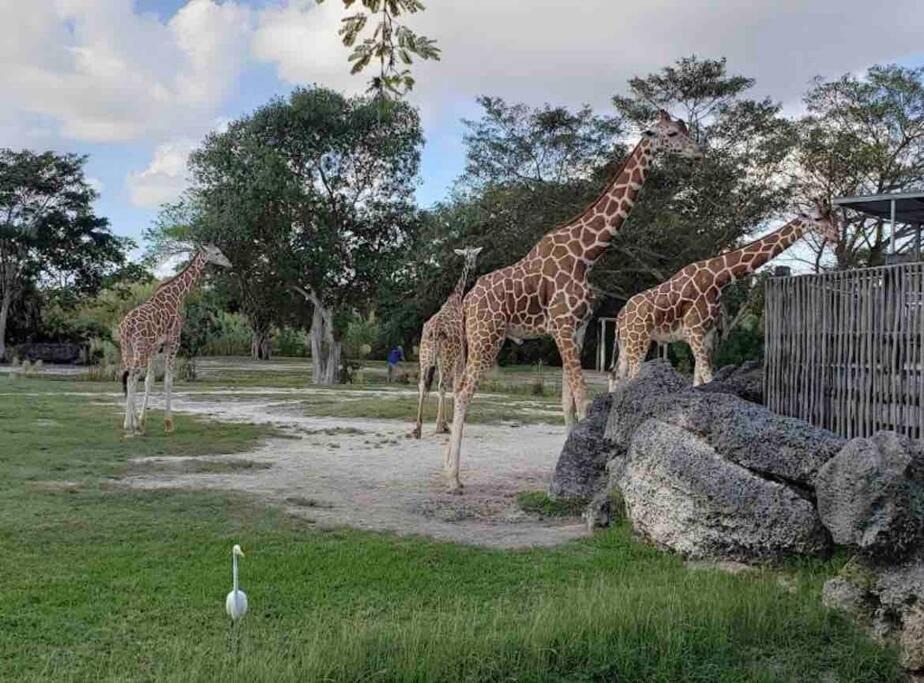 Holiday home Amazing & Cozy Duplex Near Zoo ! Miami
