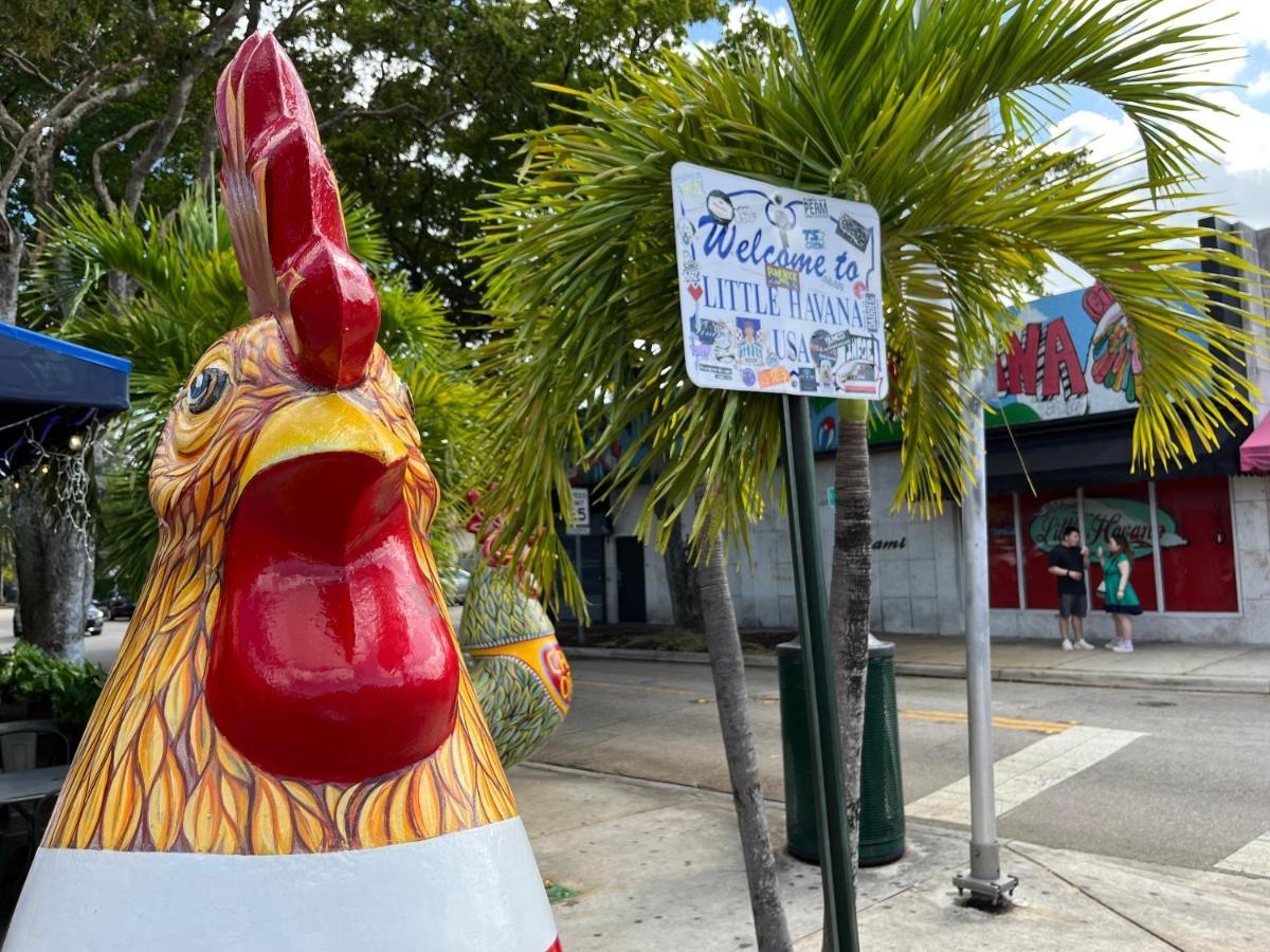 Little Havana Suites: Urban Oasis With Free Parking Apartment