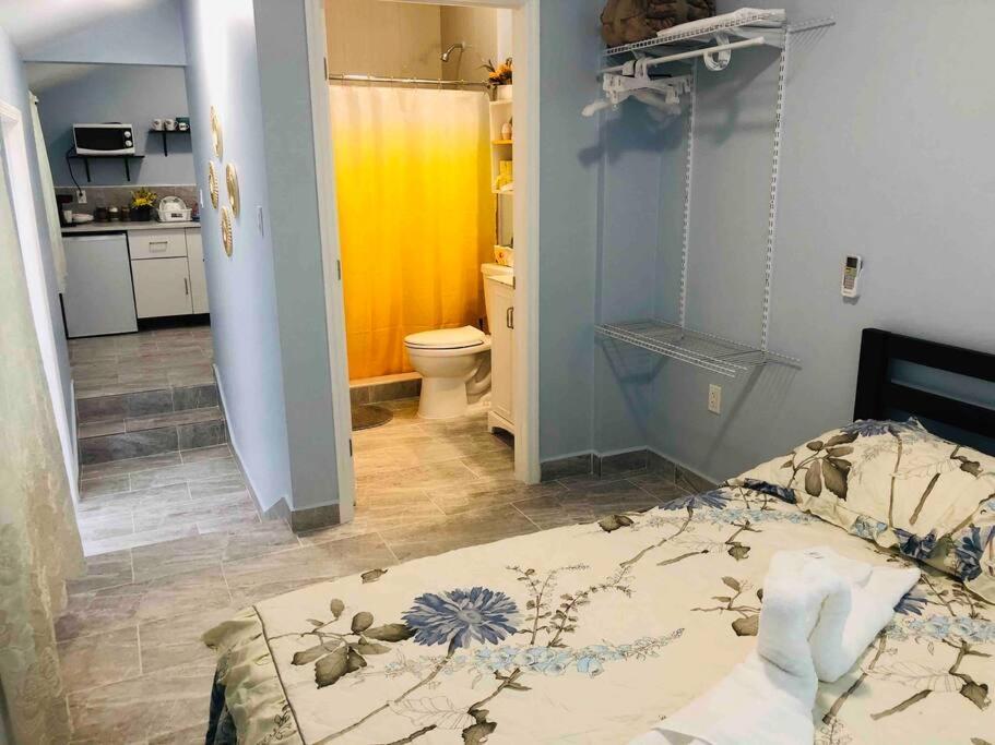 New Luxurious Private In The Heart Of * Miami