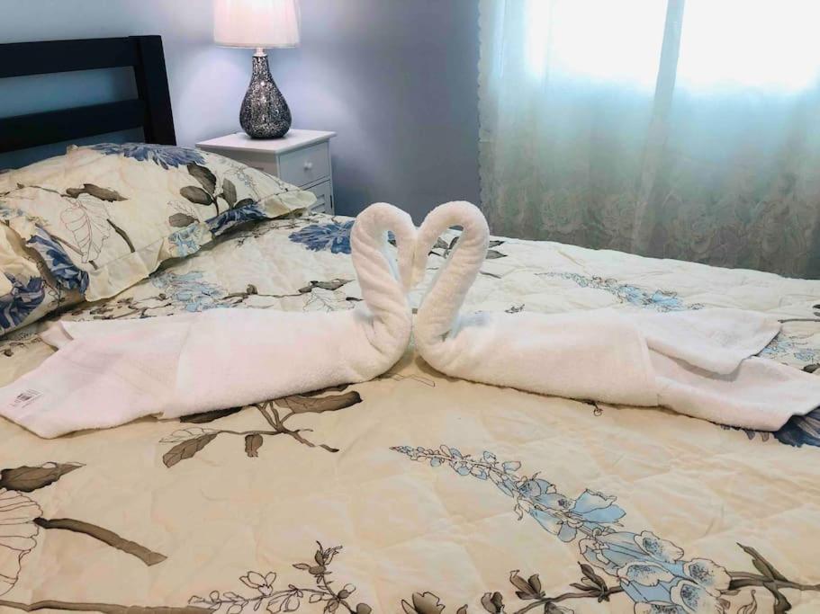 New Luxurious Private In The Heart Of Apartment Miami