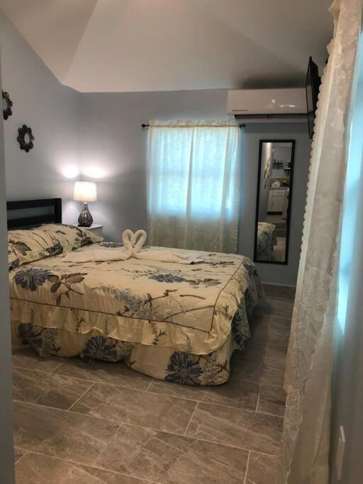 New Luxurious Private In The Heart Of