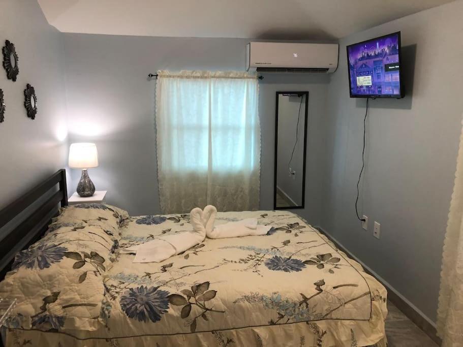 New Luxurious Private In The Heart Of Apartment