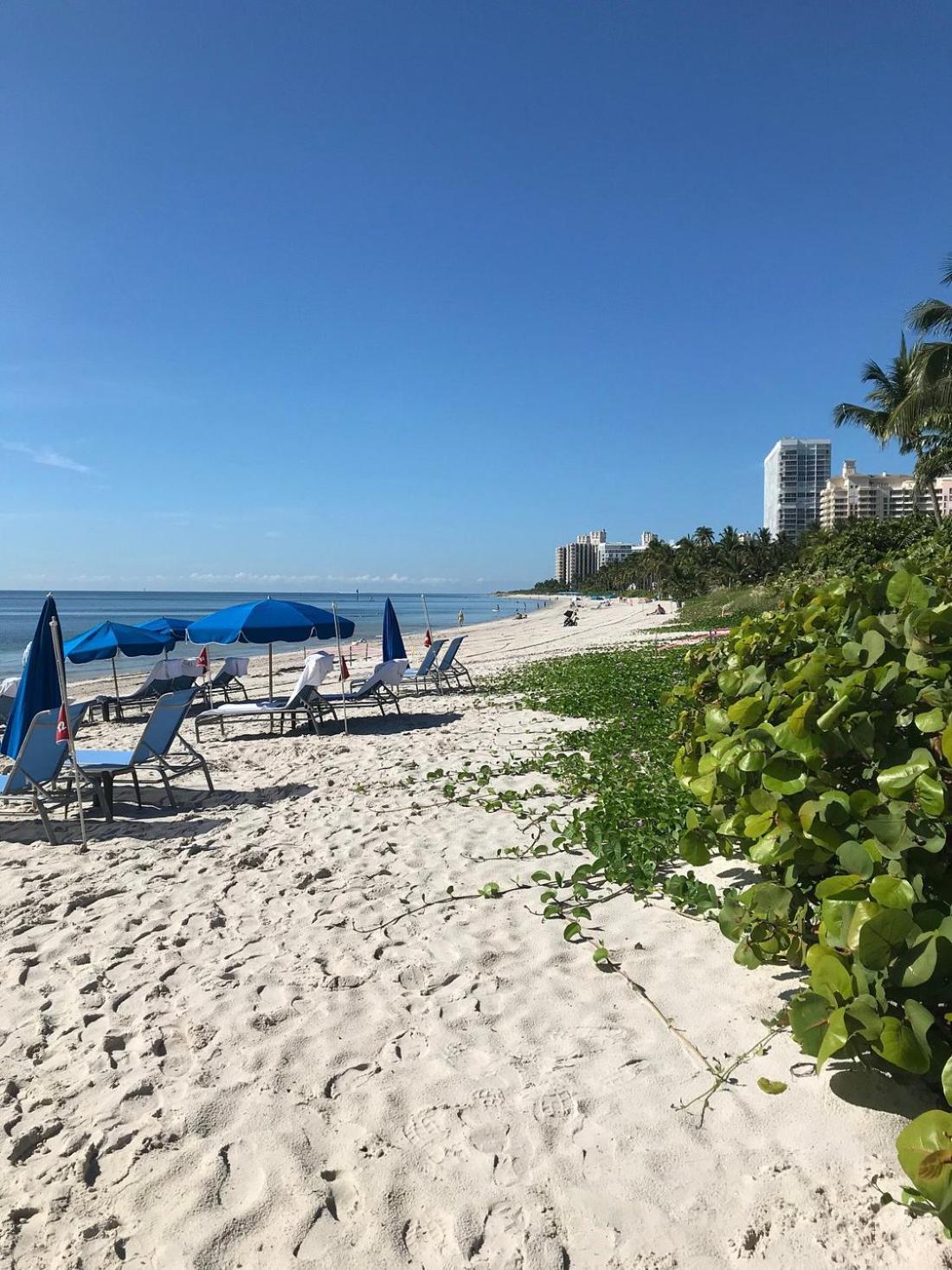 Apartment Studio Located At The Ritz Carlton Key Biscayne, Miami