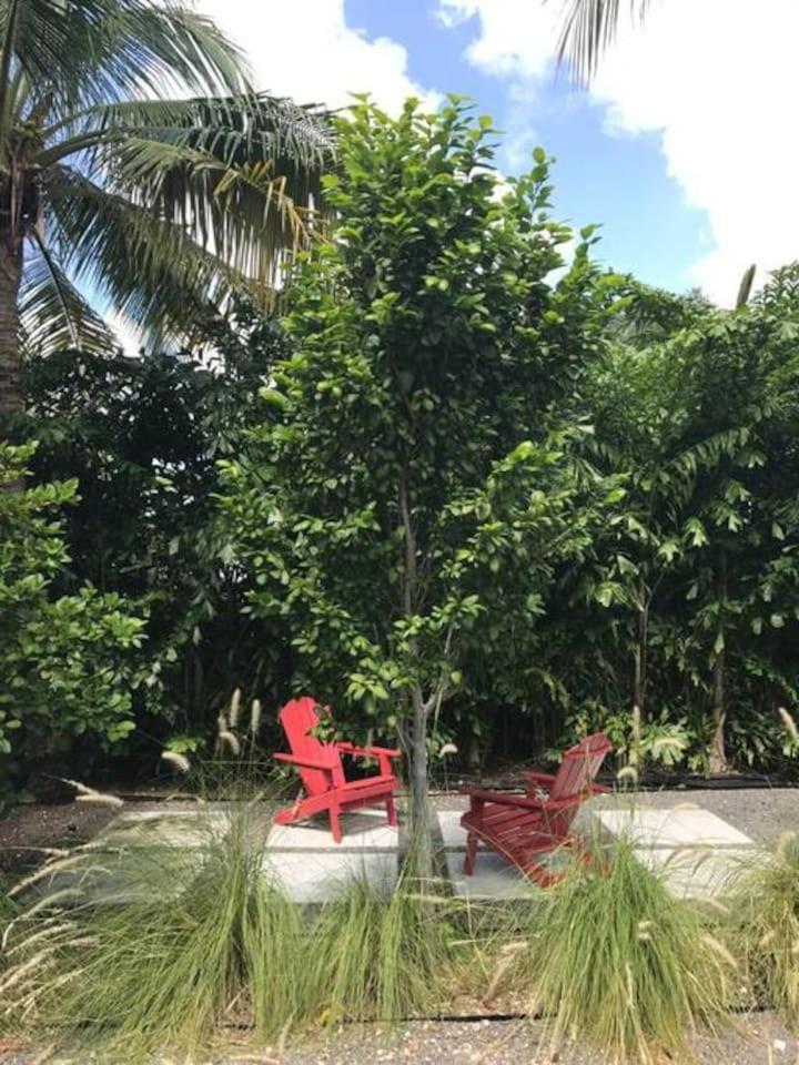 Renovated Grove -near Coconut Grove Miami
