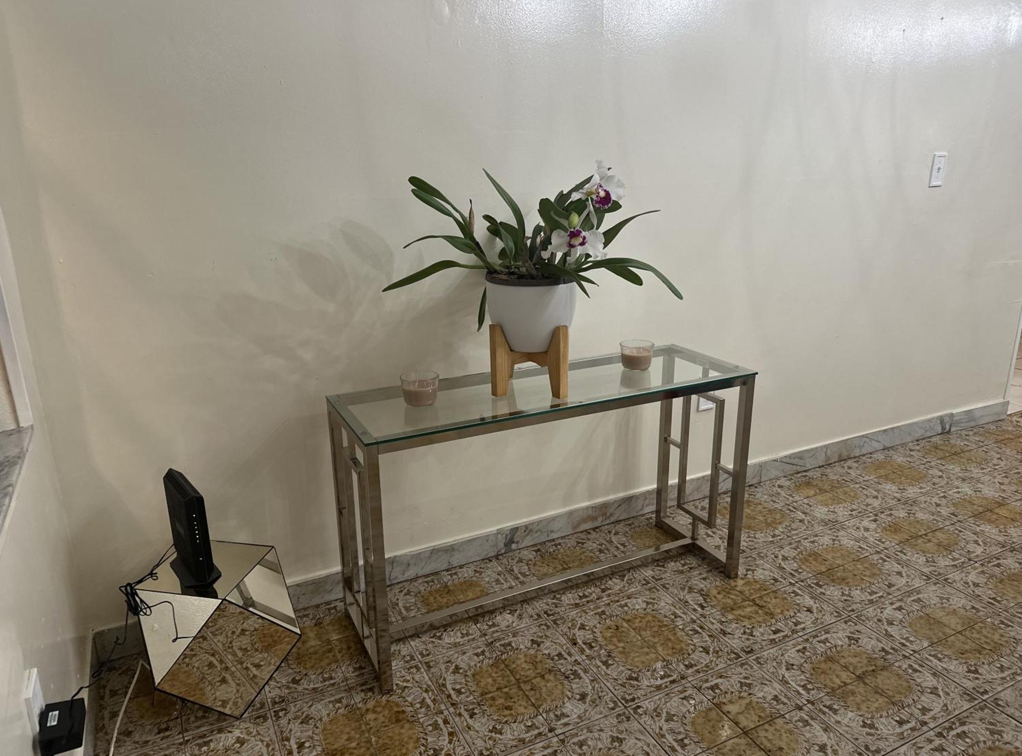 Tropical Oasis Homestay Miami