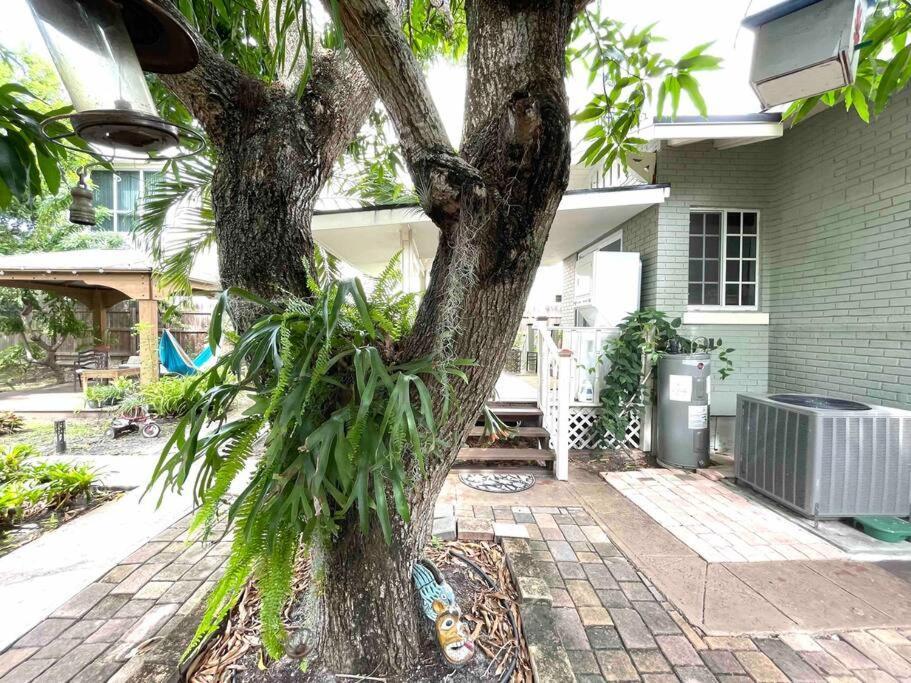 Apartment Independent In Little Havana