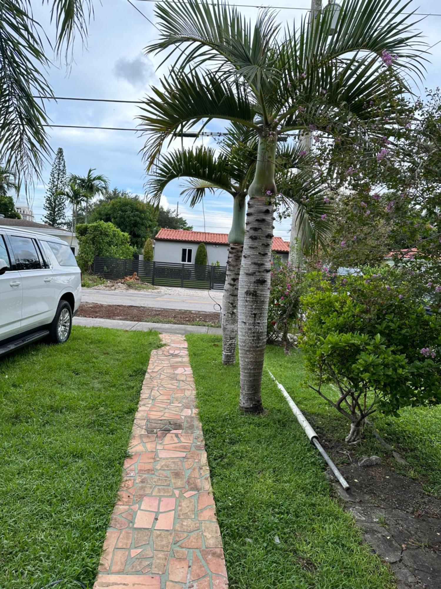 Guest house Cozy Corner Miami