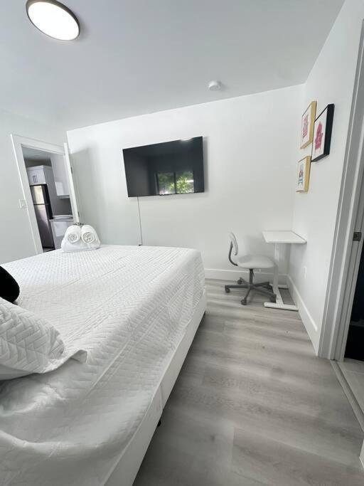 Modern In Miami