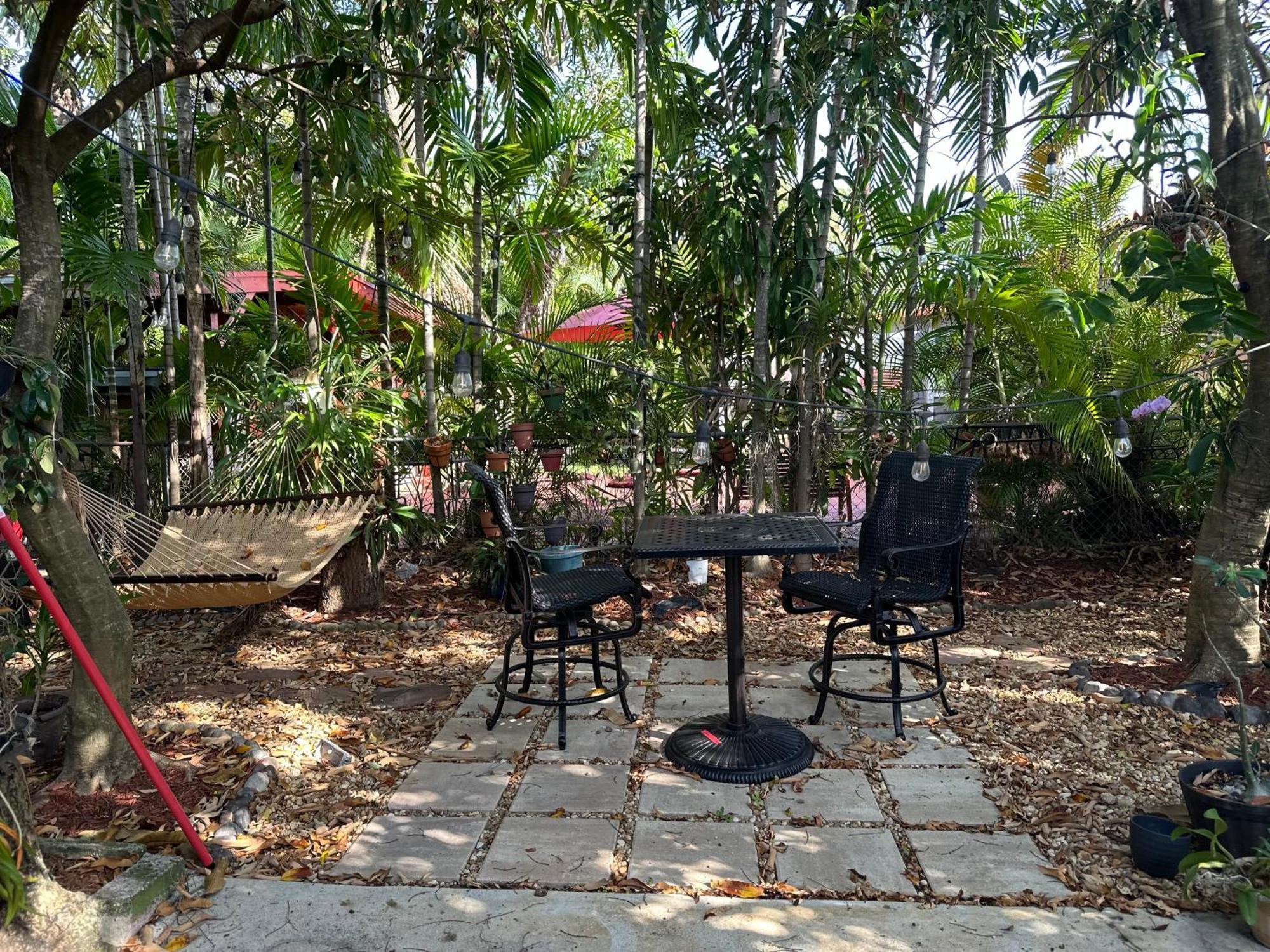 Tropical Oasis Homestay