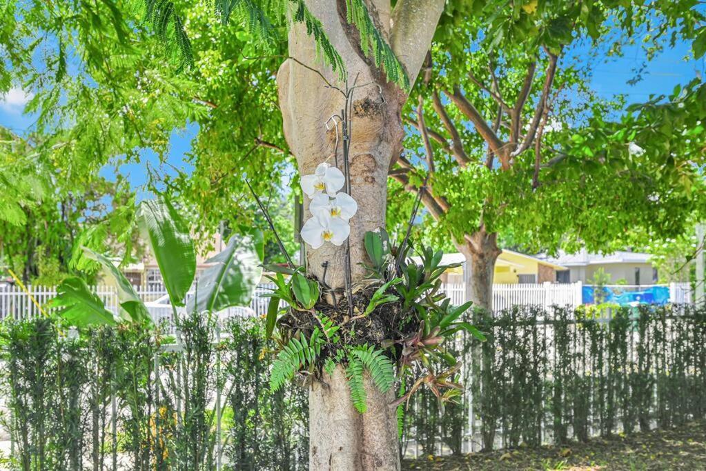 Stylish Modern Near Wynwood & Design District Apartment