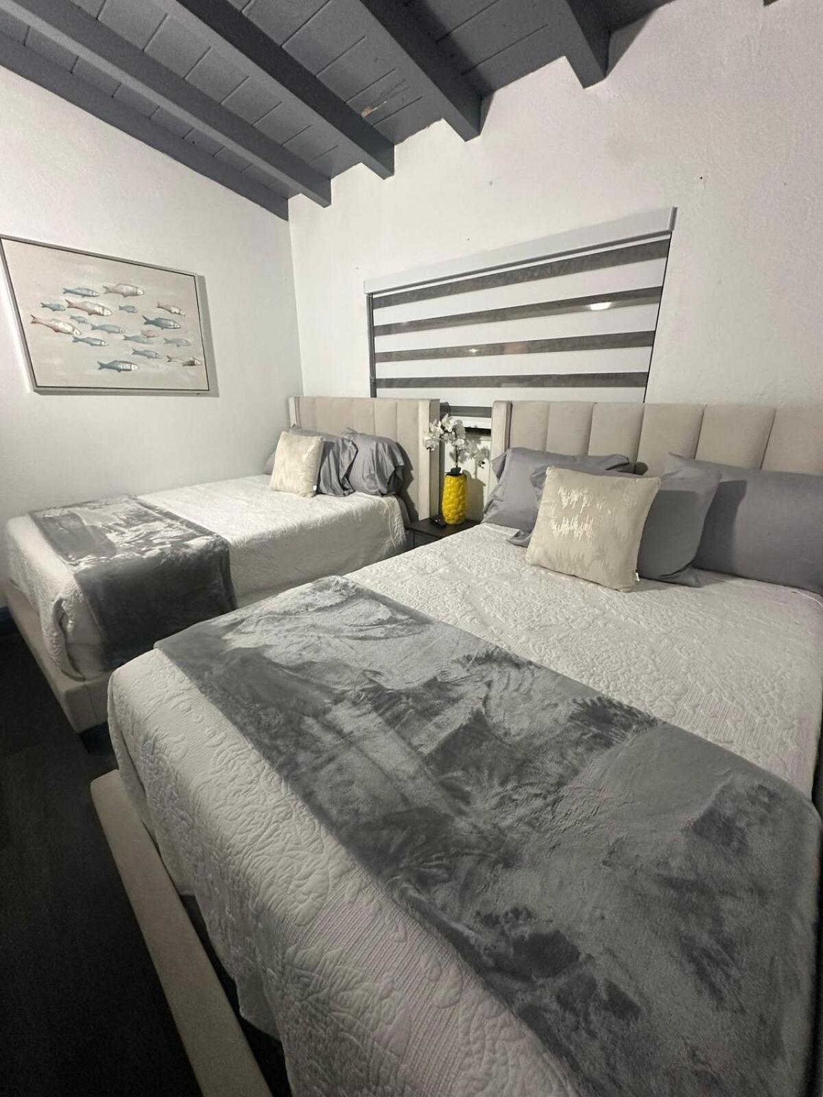 Apartment Palms Paradise By Coral Gables *