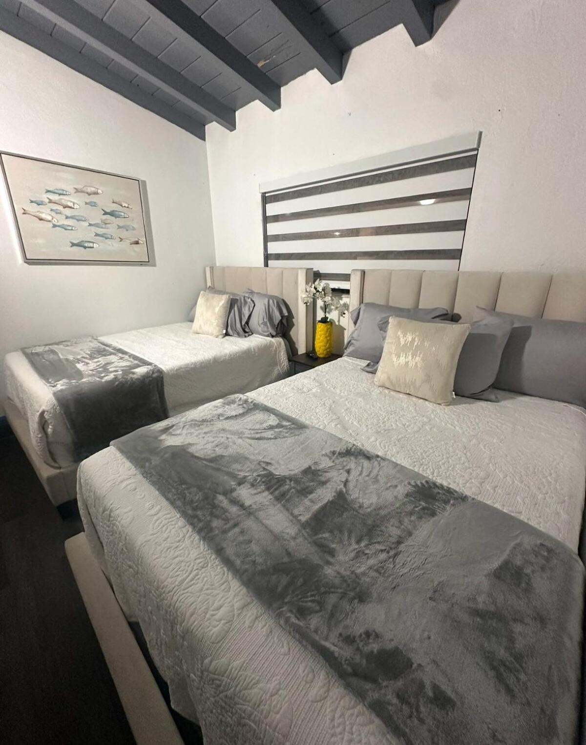 Apartment Palms Paradise By Coral Gables Miami