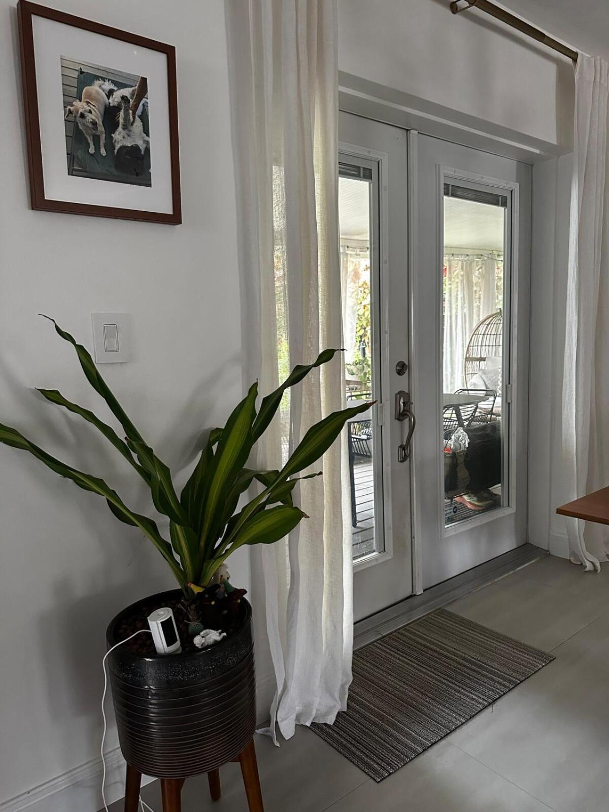 10 Min From Wynwood, Tropical Oasis W Heated Pool * Miami