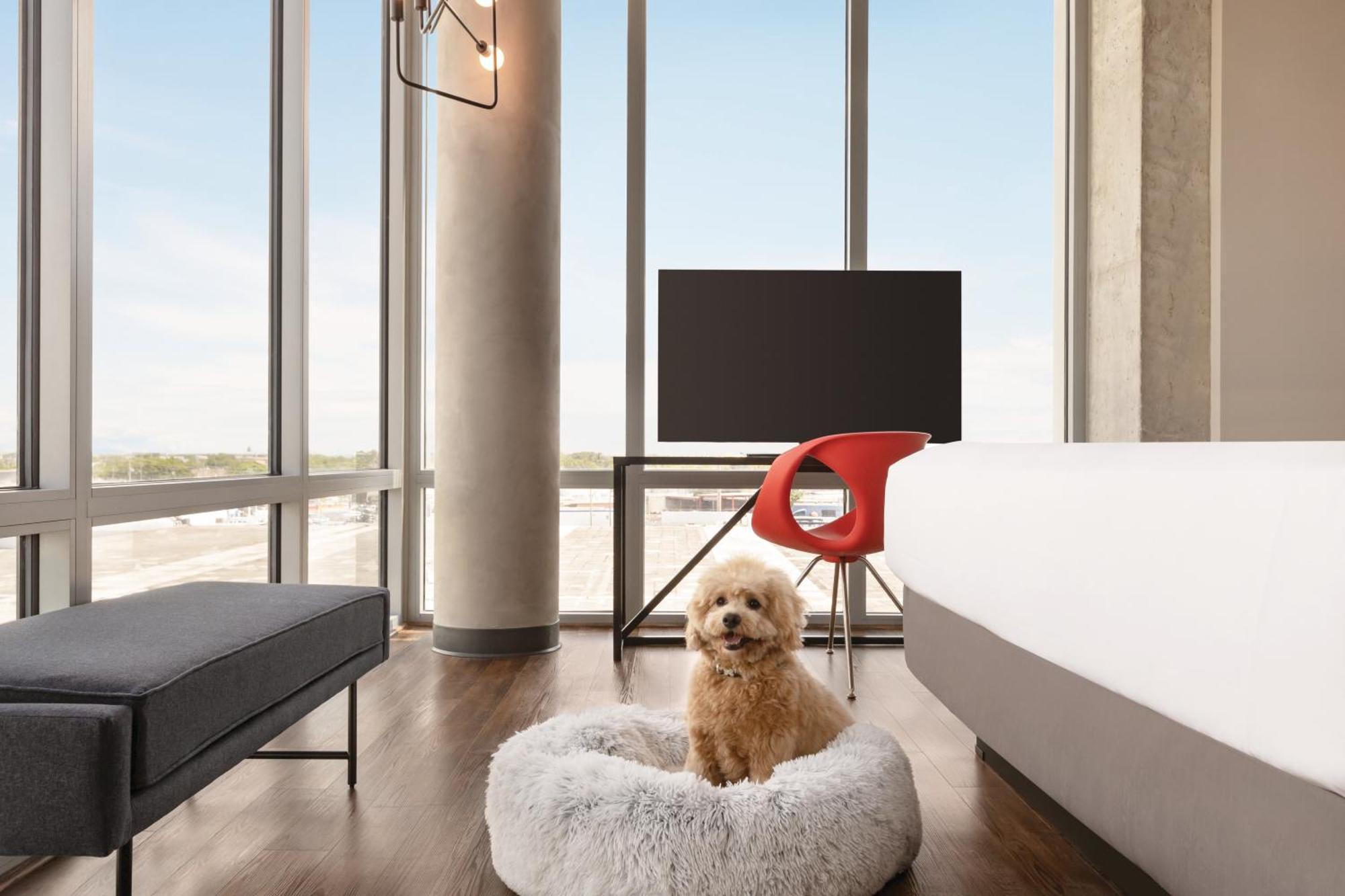 Hotel Kompose Boutique Miami Airport
