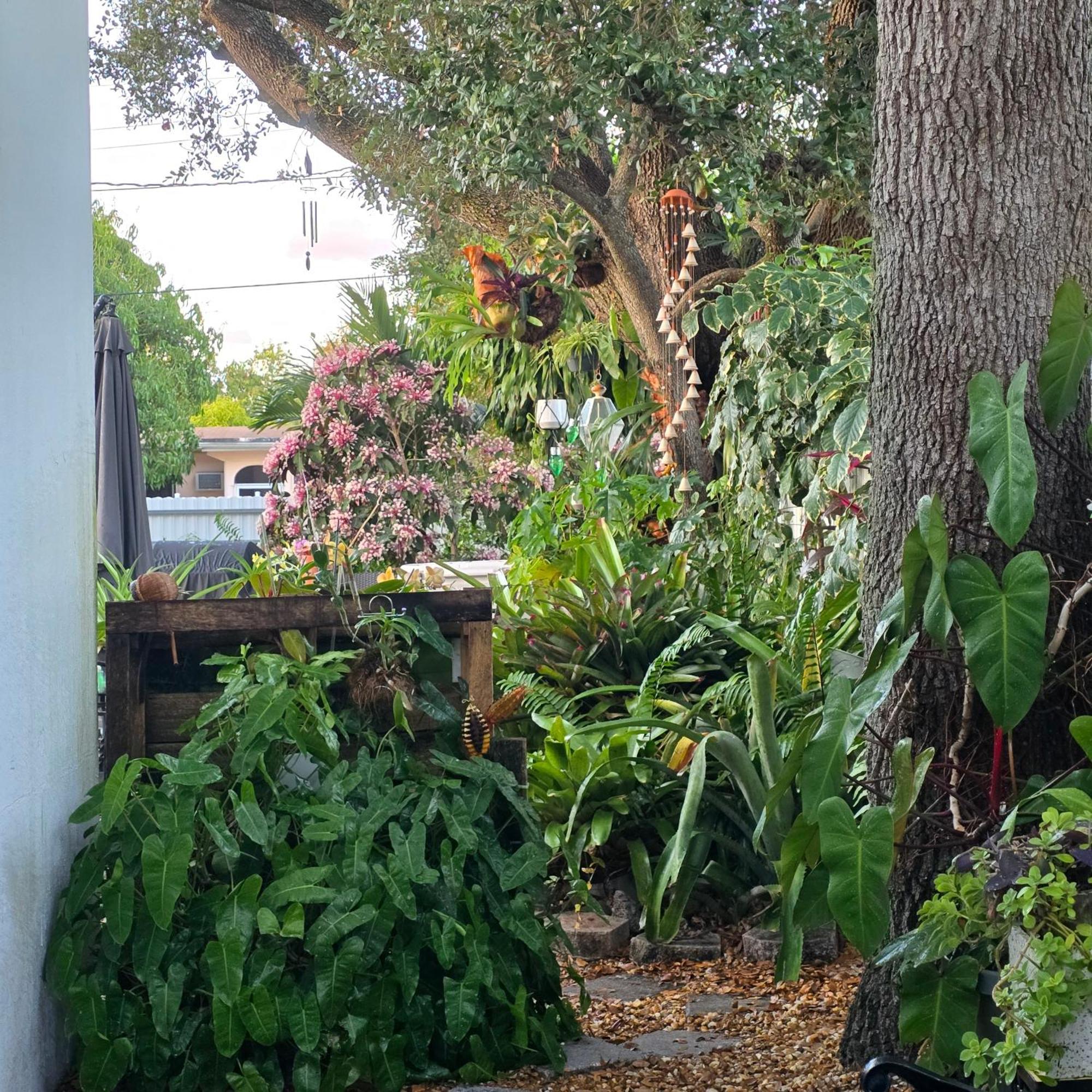 Homestay Life At Chez Mercedes Miami
