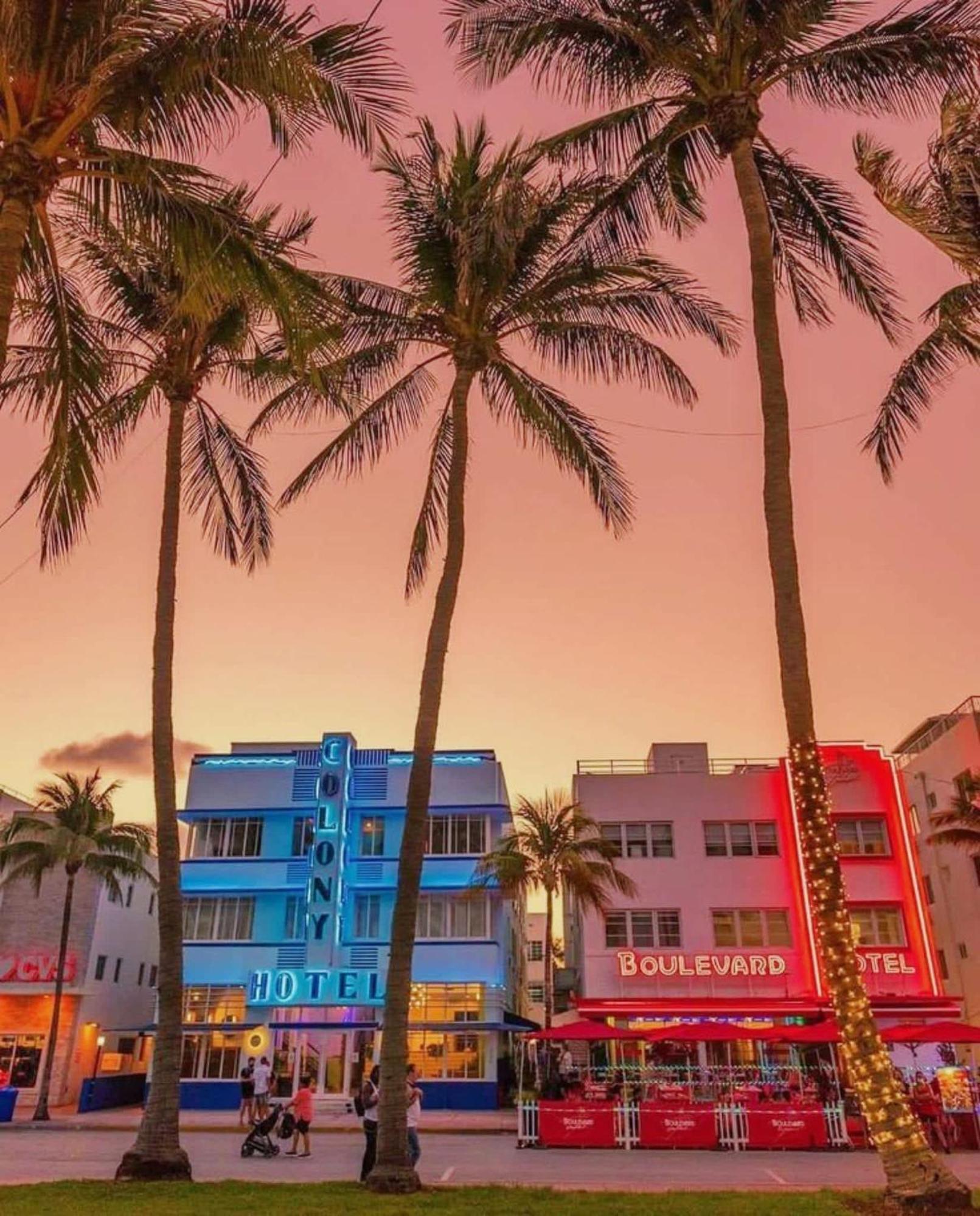 Explore Miami's Heat - Huge 1 Bed Pool & Gym Holiday home Miami