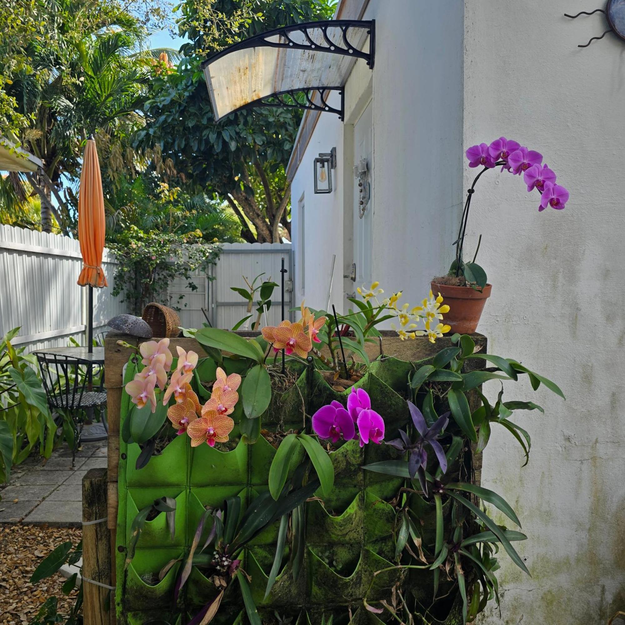 Homestay Life At Chez Mercedes