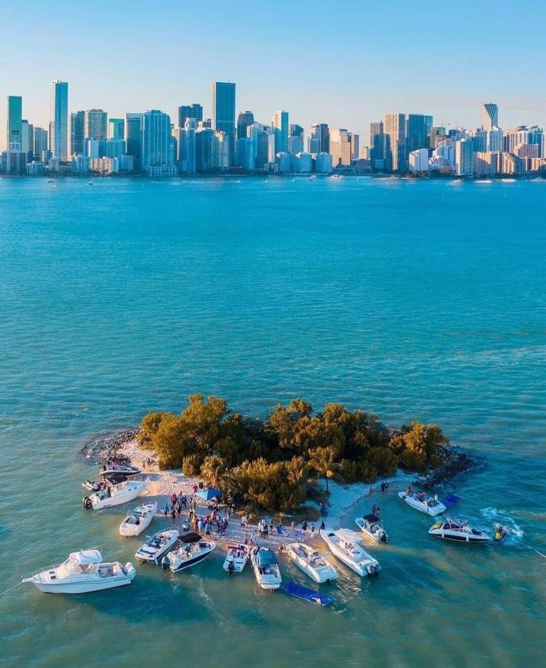 My Tropical Paradise In Miami
