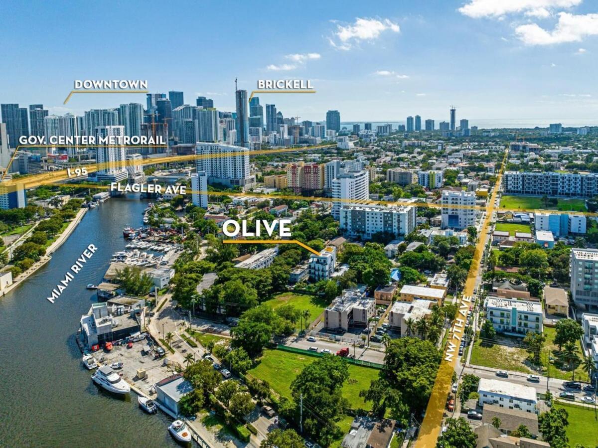 Olive Miami