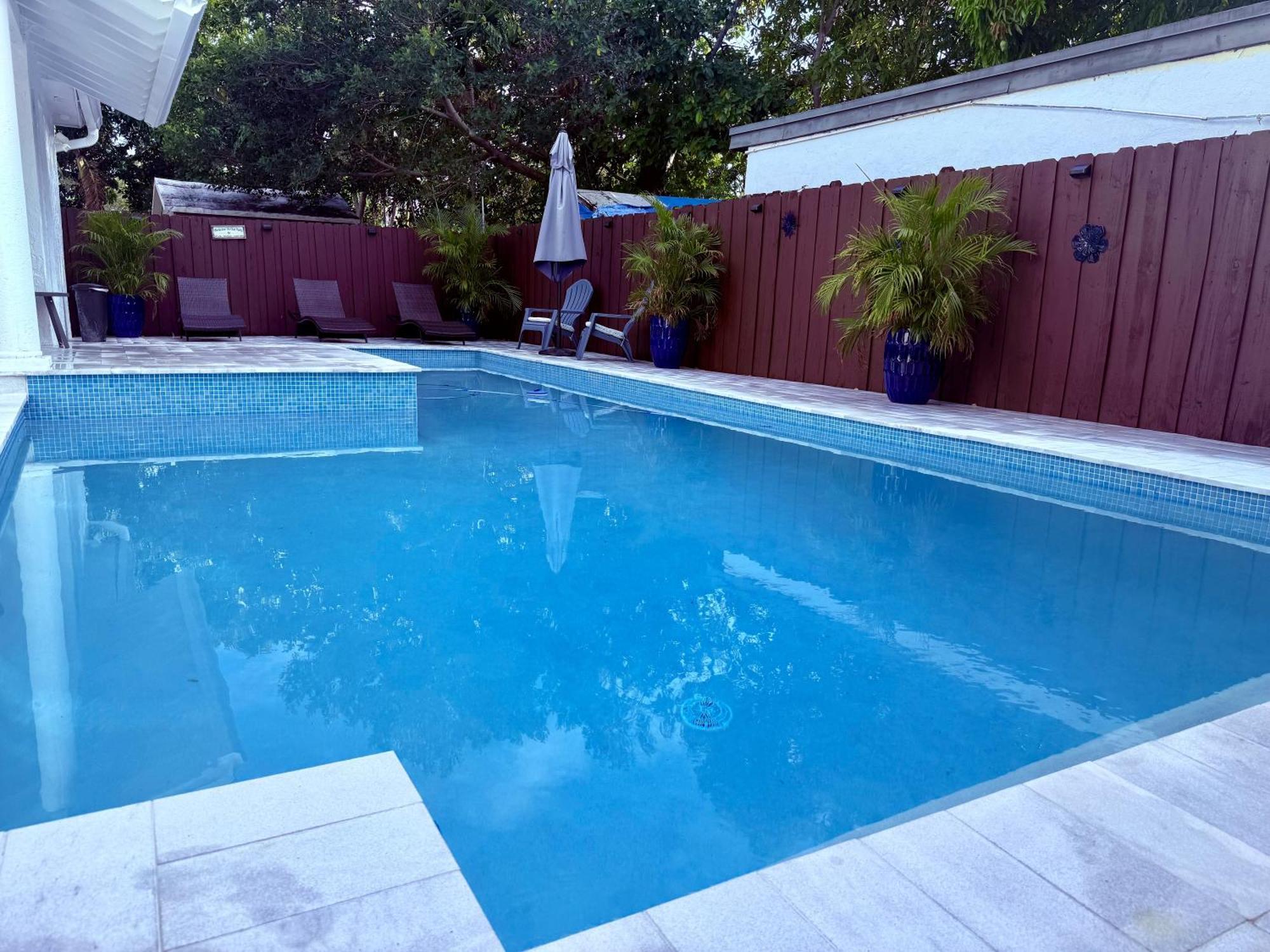 Oasis Pool In Miami, Coconut Gove, Um, Downtown *