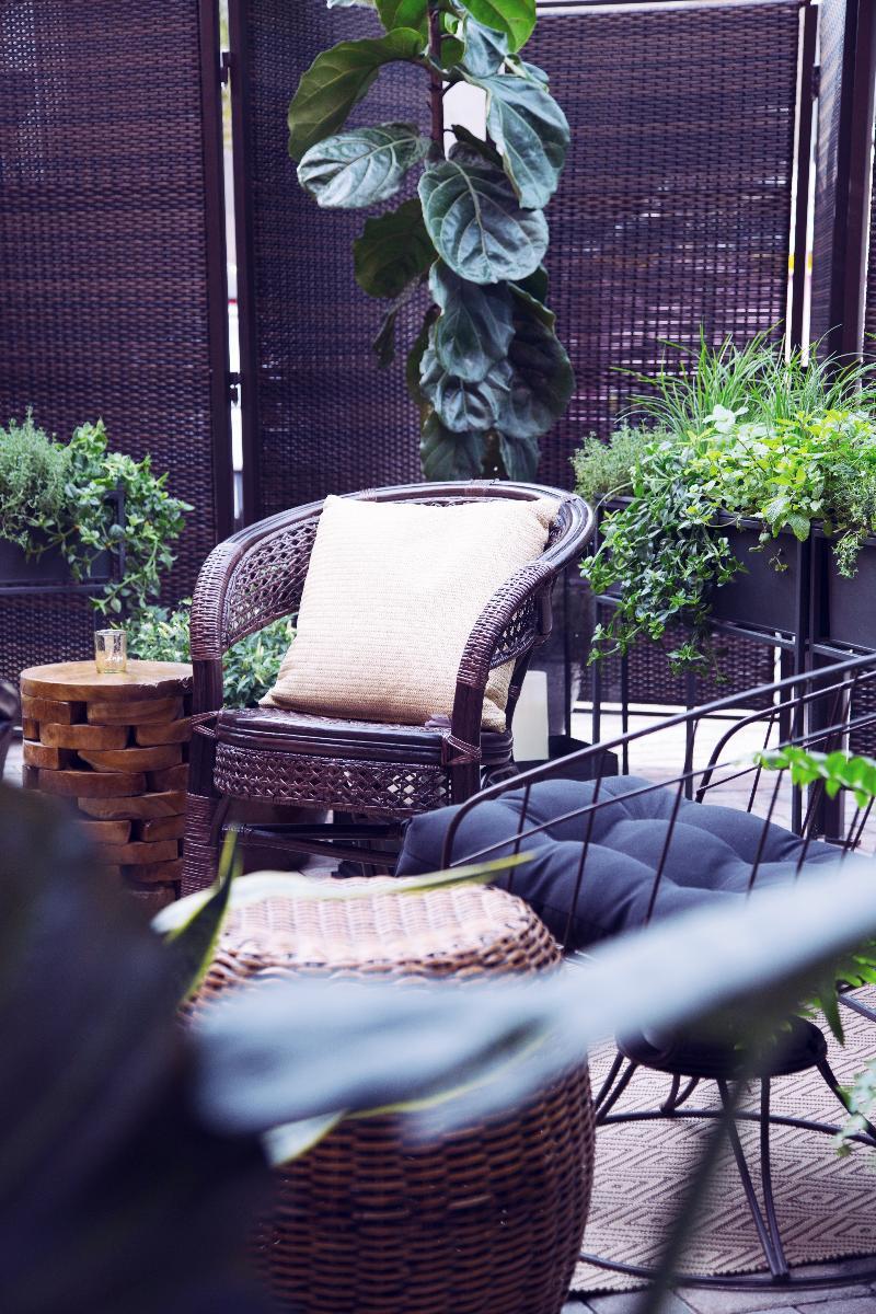 Life House, Little Havana Hotel Miami