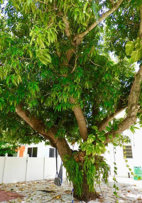 Apartment Comfy & Updated Centrally Located Minutes Away From Everything! Miami
