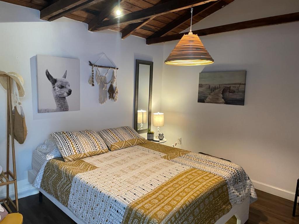Private Steps From Calle 8 Apartment