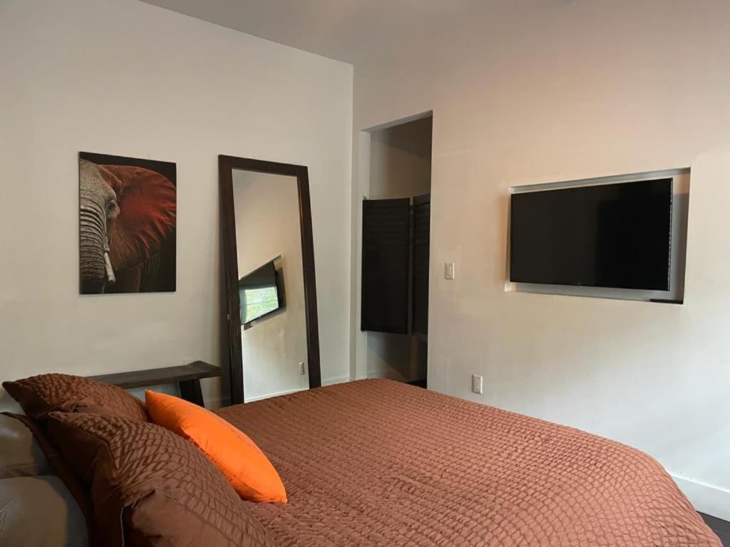 Vive Zen Queen Room Miami