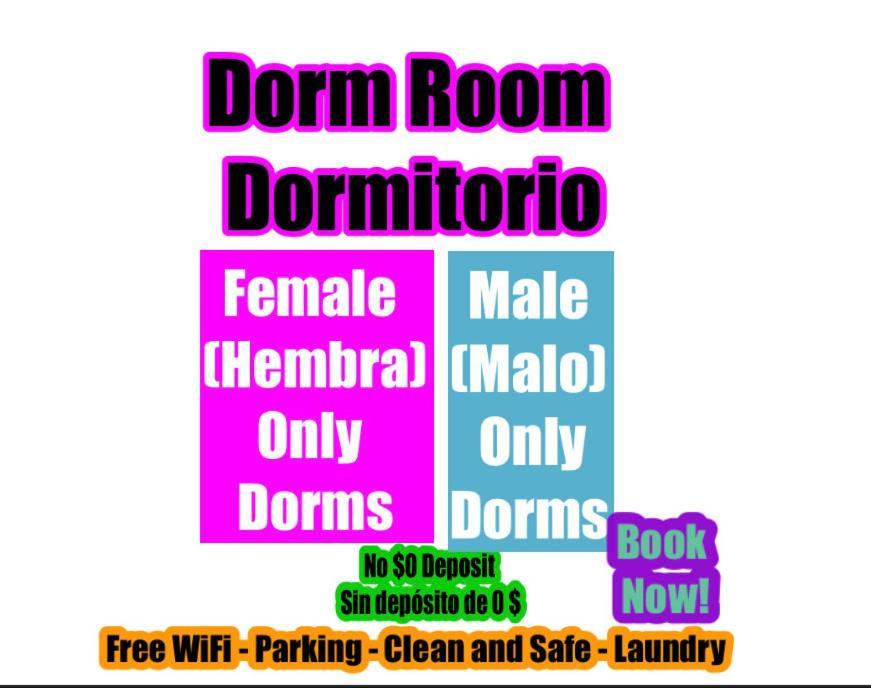 International - Airport - Downtown- Wynwood - Little Havana Women Only - Men Only - No Mix Dorms Miami