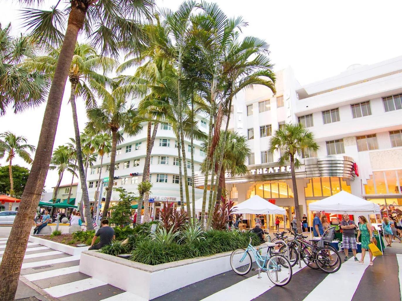 International - Airport - Downtown- Wynwood - Little Havana Women Only - Men Only - No Mix Dorms Hostel *