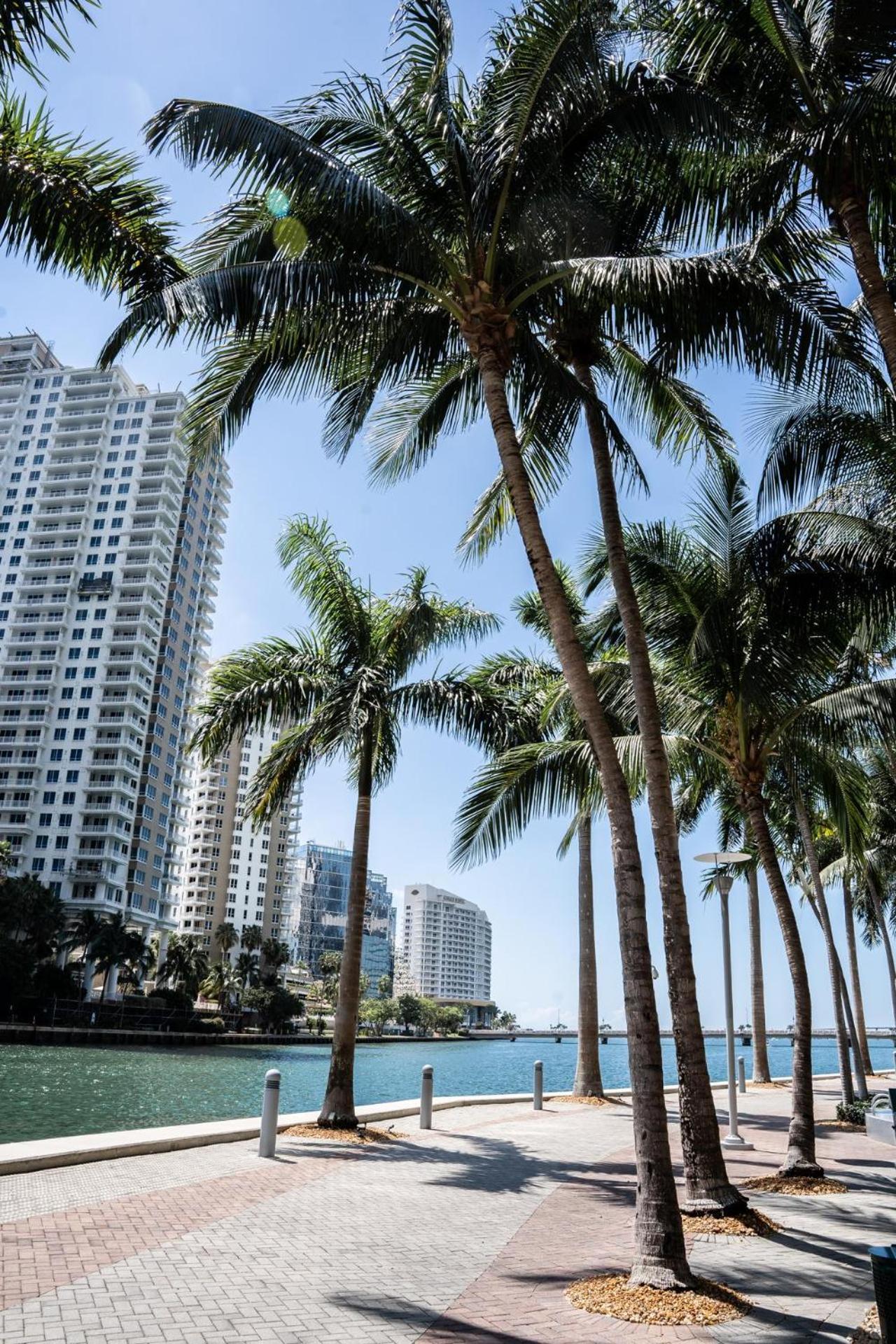 1bed Apartment- Icon Brickell Apartment Miami