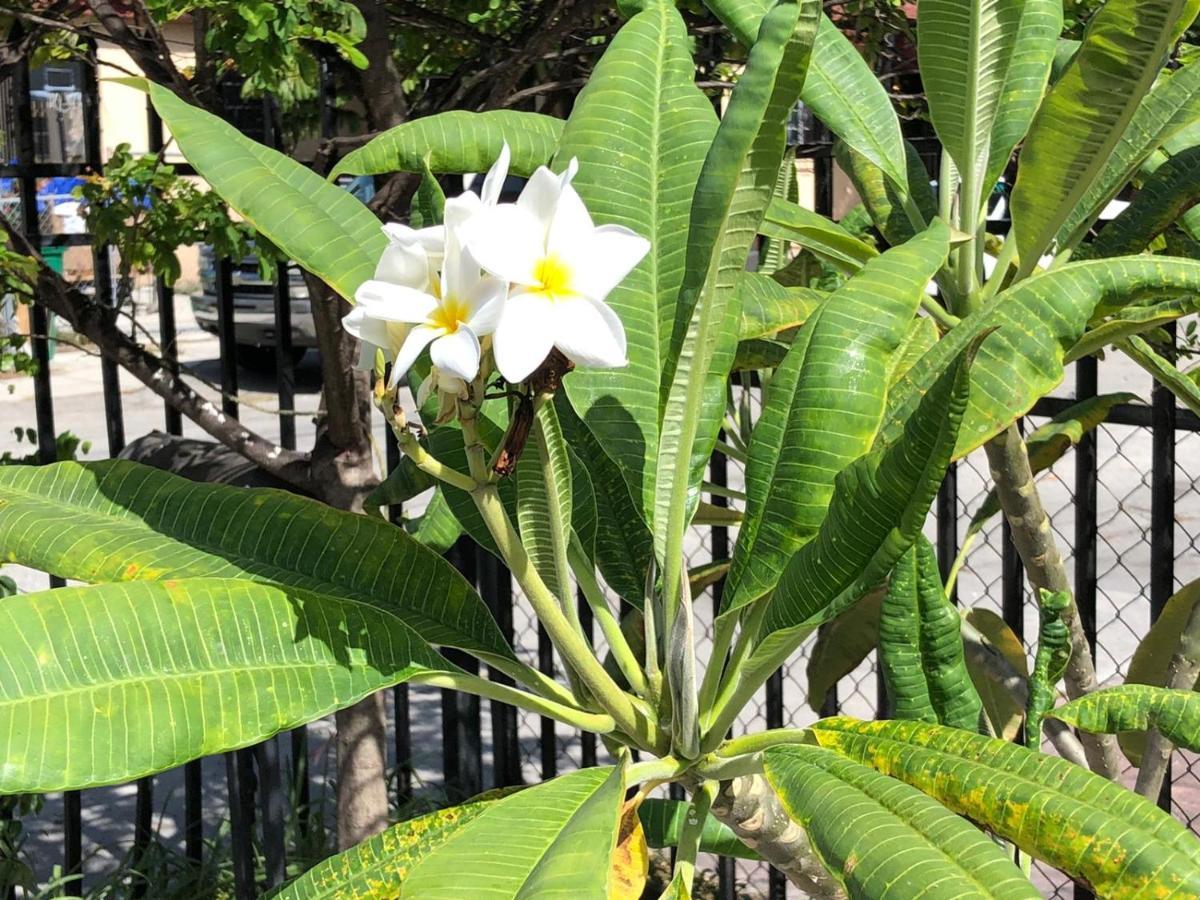 Cozy In The Heart Of Little Havana Homestay *