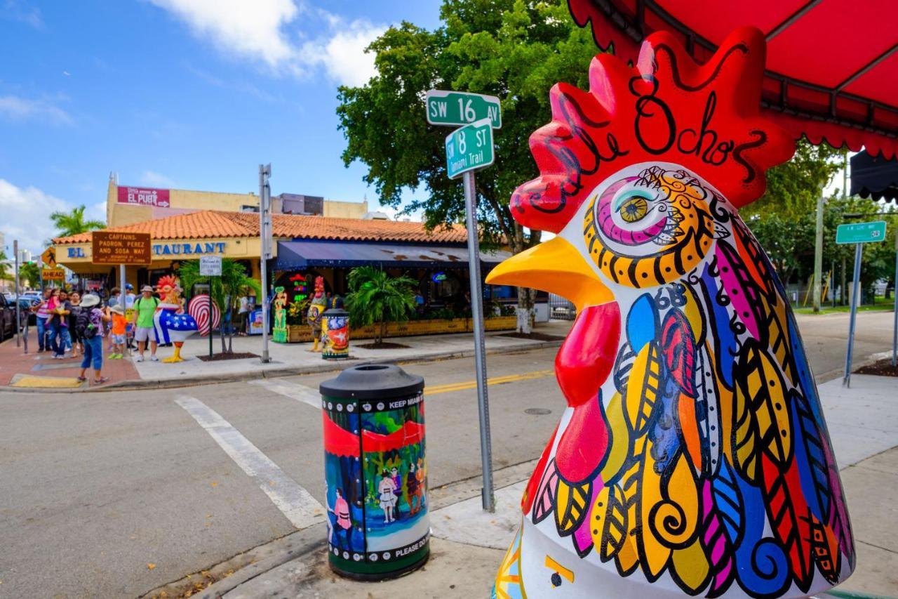 Cozy In The Heart Of Little Havana Homestay *