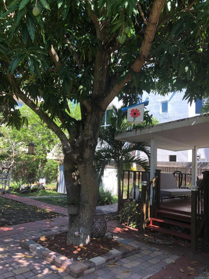 Cozy In The Heart Of Little Havana Homestay *