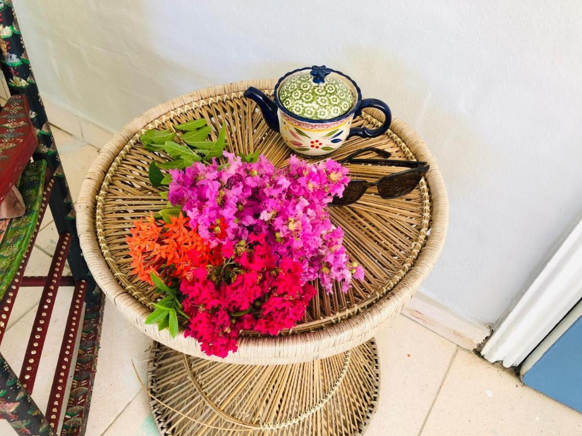 Cozy In The Heart Of Little Havana Homestay *